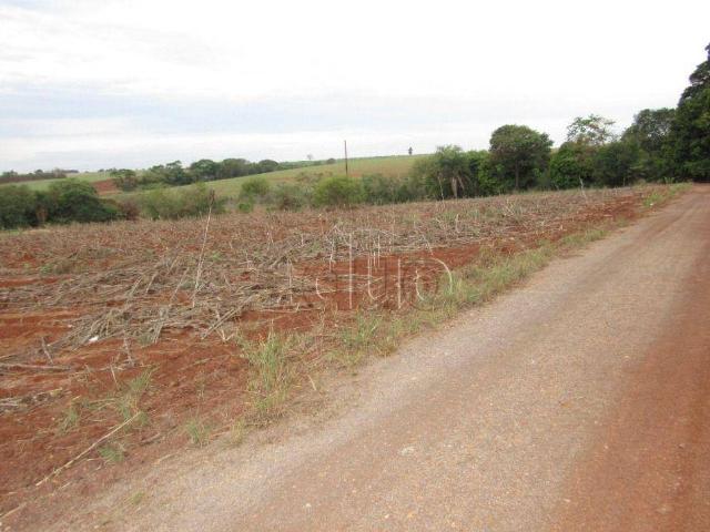 Terreno aluguel em Região Imediata de Piracicaba, Região Metropolitana de Piracicaba