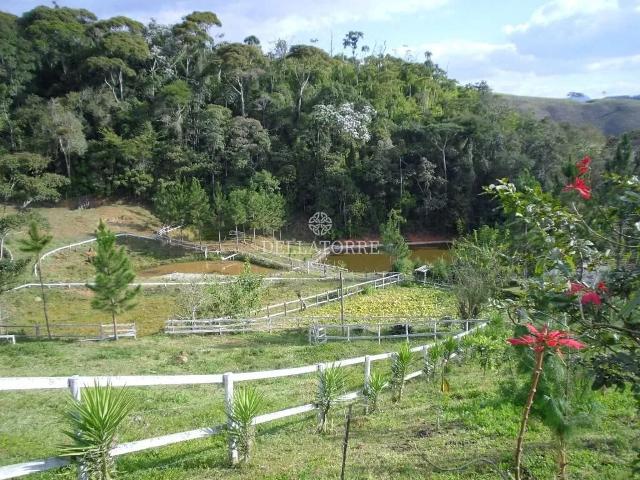 Terreno aluguel em Região Geográfica Imediata de Nova Friburgo, Sumidouro
