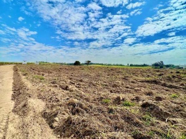 Terreno venda em Região Imediata de Campinas, Região Metropolitana de Campinas