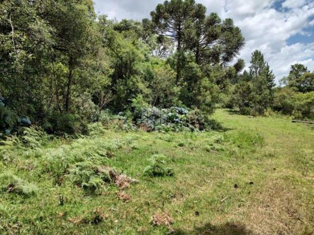 Sítio e chácara venda em Região Geográfica Imediata de Caxias do Sul, Gramado