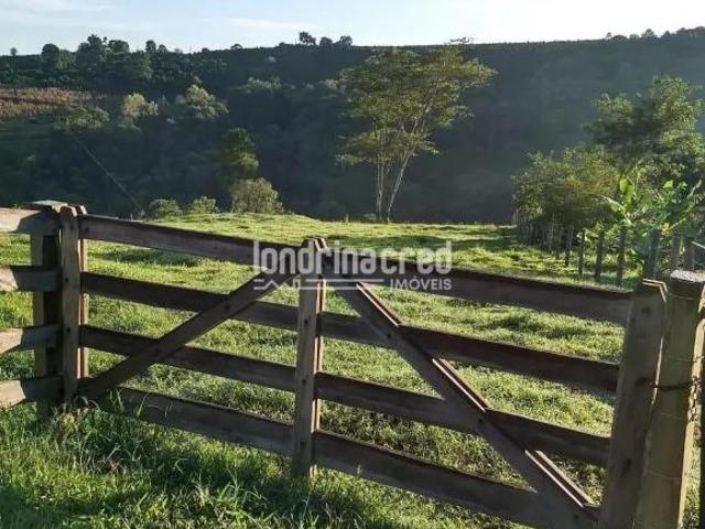 Terreno venda em Região Geográfica Imediata de Ibaití, Pinhalão