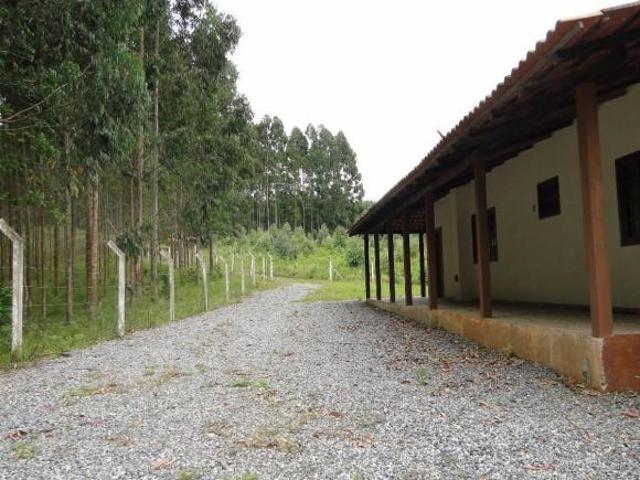 Sítio e chácara venda em Região Geográfica Imediata de Curitiba, Região Metropolitana de Curitiba
