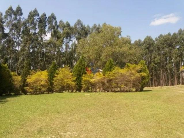 Terreno venda em Região Geográfica Imediata de Ponta Grossa, Arapoti