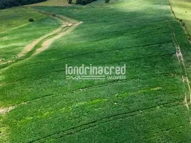 Terreno venda em Região Geográfica Imediata de Ponta Grossa, Arapoti