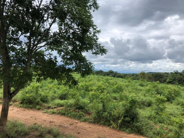 Terreno venda em Região Geográfica Imediata de Águas Lindas de Goiás, Região Integrada de Desenvolvimento do Distrito Federal e Entorno
