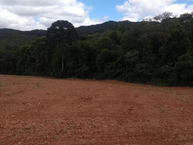Sítio e chácara venda em São José dos Pinhais, Região Geográfica Intermediária de Curitiba