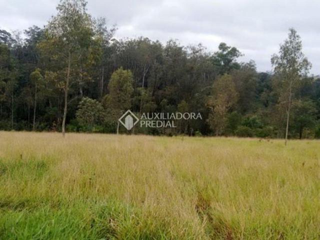 Terreno venda em Região Geográfica Imediata de Novo Hamburgo - São Leopoldo, Região Metropolitana de Porto Alegre