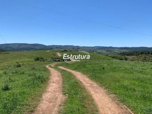 Sítio e chácara venda em Região Geográfica Imediata de Santa Maria, São Sepe