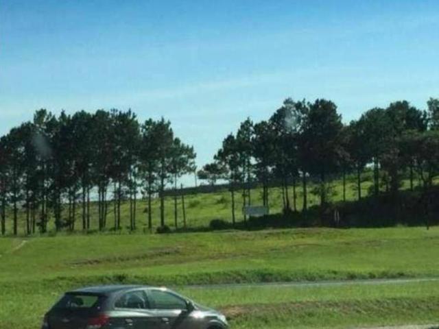 Terreno aluguel em Vila Elza, Sorocaba