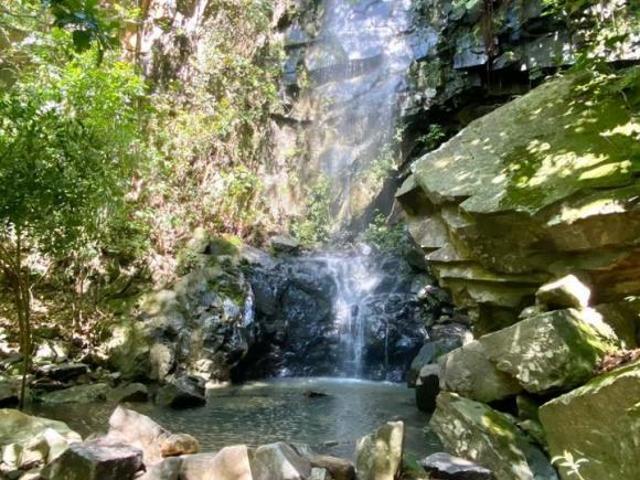 Sítio e chácara venda em Região Geográfica Imediata de Uruaçu - Niquelândia, Colinas do Sul