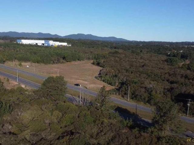 Terreno venda em Região Geográfica Imediata de Curitiba, Região Metropolitana de Curitiba