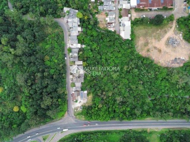 Terreno venda em Região Geográfica Imediata de Novo Hamburgo - São Leopoldo, Região Metropolitana de Porto Alegre