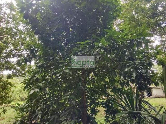 Sítio e chácara venda em Miracatu, São Paulo