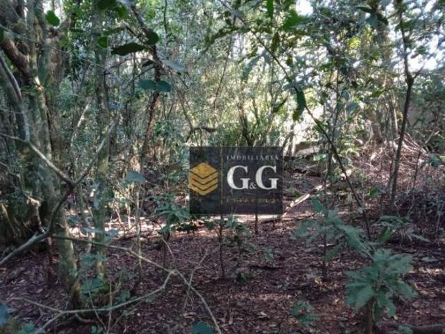 Terreno venda em Região Geográfica Imediata de Porto Alegre, Região Metropolitana de Porto Alegre