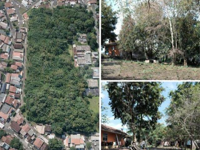 Terreno venda em Região Geográfica Imediata de Curitiba, Região Metropolitana de Curitiba