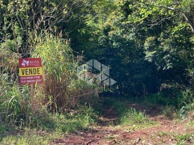 Sítio e chácara venda em Região Geográfica Imediata de Novo Hamburgo - São Leopoldo, Linha Nova