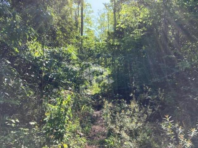 Sítio e chácara venda em Região Geográfica Imediata de Novo Hamburgo - São Leopoldo, Linha Nova