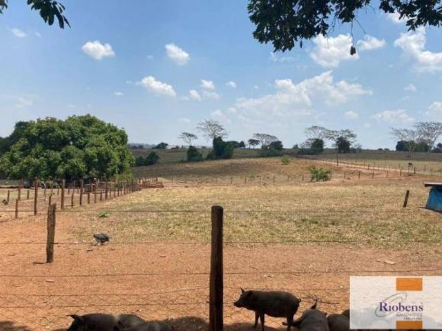 Terreno venda em São José do Rio Preto, Residencial Nato Vetorazzo