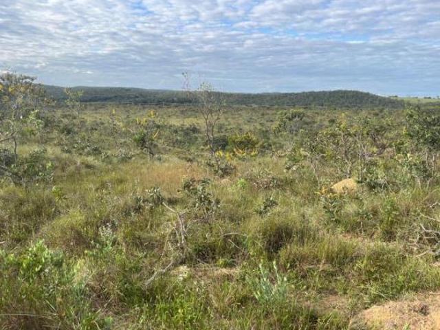 Sítio e chácara venda em Região Geográfica Imediata de Luziânia, Região Integrada de Desenvolvimento do Distrito Federal e Entorno