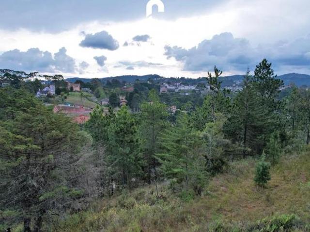 Terreno venda em Região Imediata de Taubaté-Pindamonhangaba, Região Metropolitana do Vale do Paraíba e Litoral Norte
