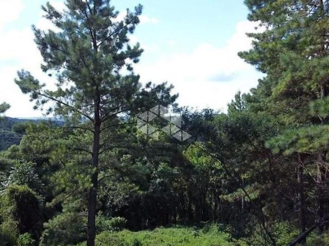 Terreno venda em Região Geográfica Imediata de Caxias do Sul, Canela