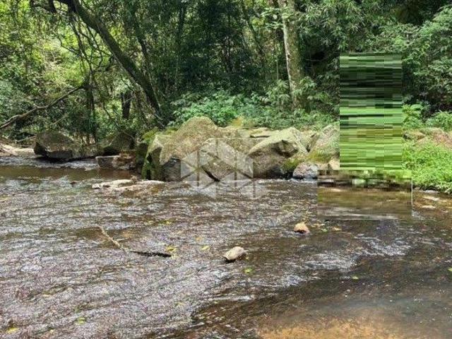 Sítio e chácara venda em Região Geográfica Imediata de Bento Gonçalves, Boa Vista do Sul