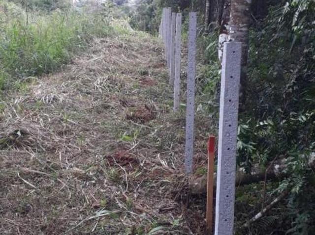 Terreno venda em Jardim O Bom Pastor, Campo Magro