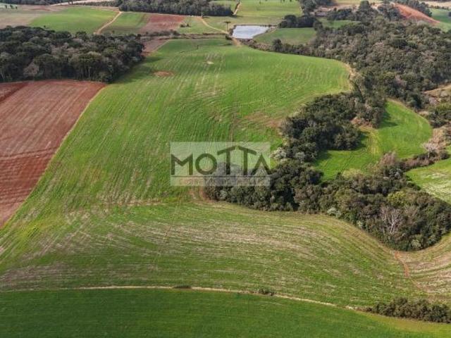 Terreno venda em Região Geográfica Imediata de Erechim, Barão de Cotegipe