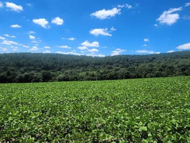 Sítio e chácara venda em Região Geográfica Imediata de Guarapuava, Prudentópolis