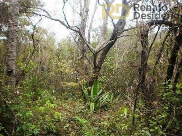 Terreno venda em Região Geográfica Imediata de Belo Horizonte, Região Metropolitana de Belo Horizonte