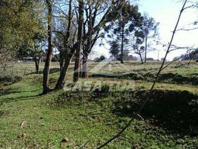 Sítio e chácara venda em Região Geográfica Imediata de Carazinho, Carazinho