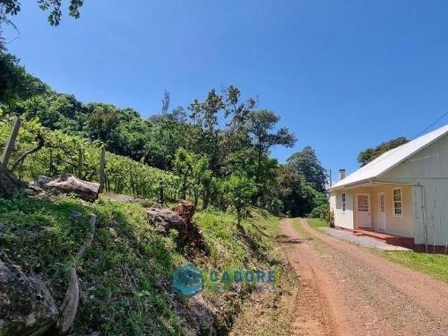 Terreno venda em Região Geográfica Imediata de Caxias do Sul, Caxias do Sul