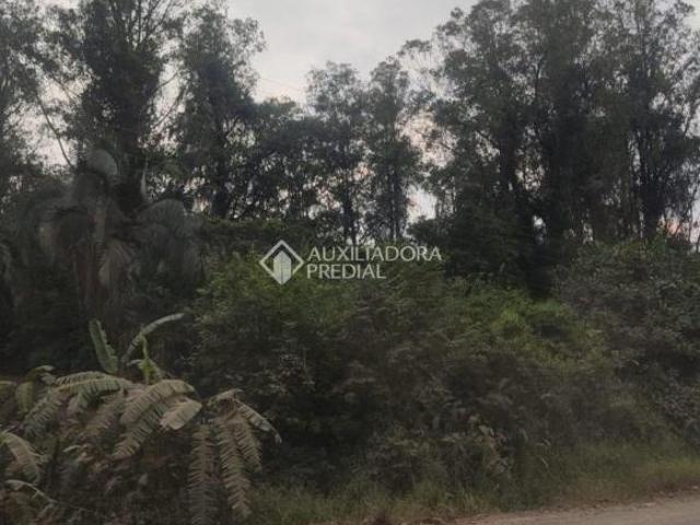 Sítio e chácara venda em Região Geográfica Imediata de Tramandaí - Osório, Aglomeração Urbana do Litoral Norte