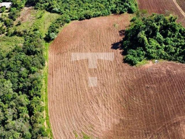 Sítio e chácara venda em Região Geográfica Imediata de Novo Hamburgo - São Leopoldo, São José do Hortencio