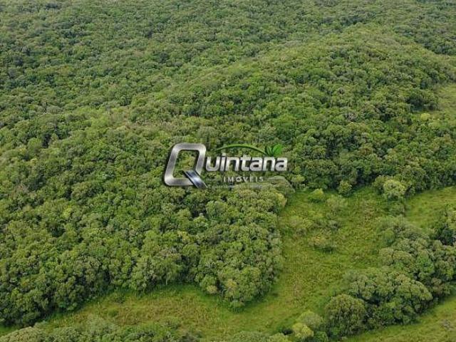 Sítio e chácara venda em Região Geográfica Imediata de Pelotas, Canguçu