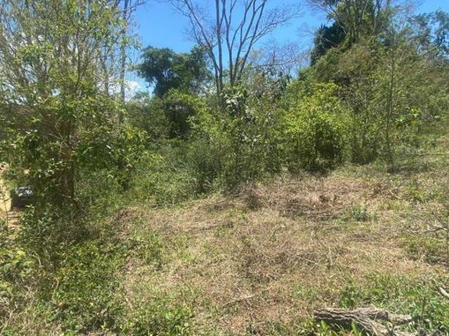 Sítio e chácara venda em Região Imediata de São José dos Campos, Região Metropolitana do Vale do Paraíba e Litoral Norte