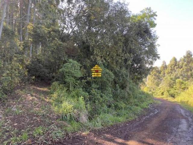 Terreno venda em Região Geográfica Imediata de Novo Hamburgo - São Leopoldo, Região Metropolitana de Porto Alegre