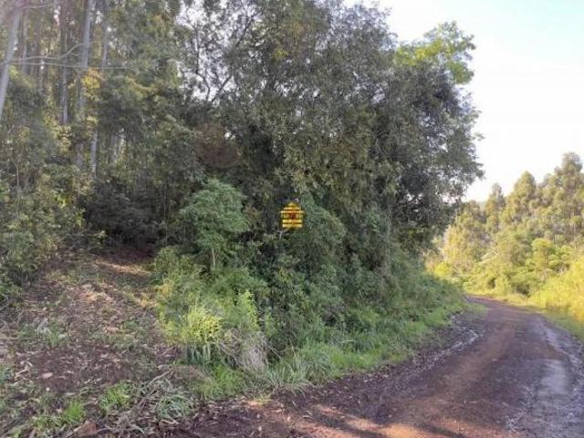 Terreno venda em Ivoti