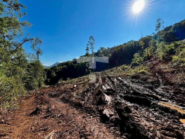 Sítio e chácara venda em Região Geográfica Imediata de Caxias do Sul, Feliz