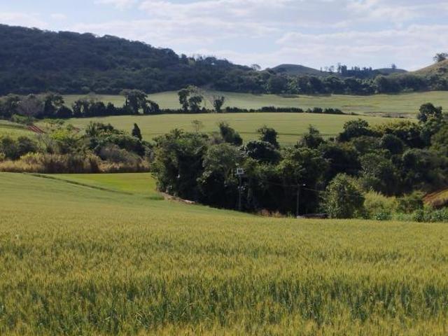 Sítio e chácara venda em Região Geográfica Imediata de Londrina, Londrina