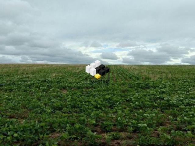 Sítio e chácara venda em Região Geográfica Imediata de Pelotas, Santa Vitória do Palmar