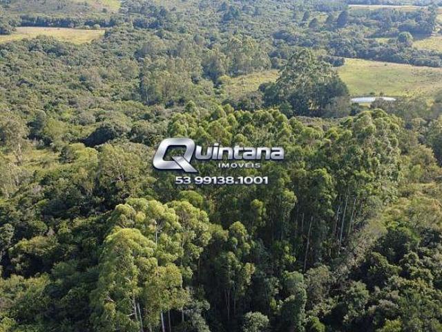 Sítio e chácara venda em Região Geográfica Imediata de Pelotas, Aglomeração Urbana do Sul