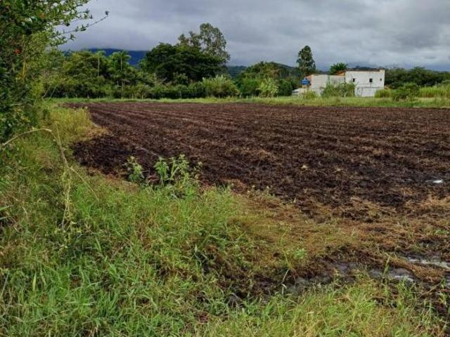 Sítio e chácara venda em Região Imediata de Taubaté-Pindamonhangaba, Região Metropolitana do Vale do Paraíba e Litoral Norte