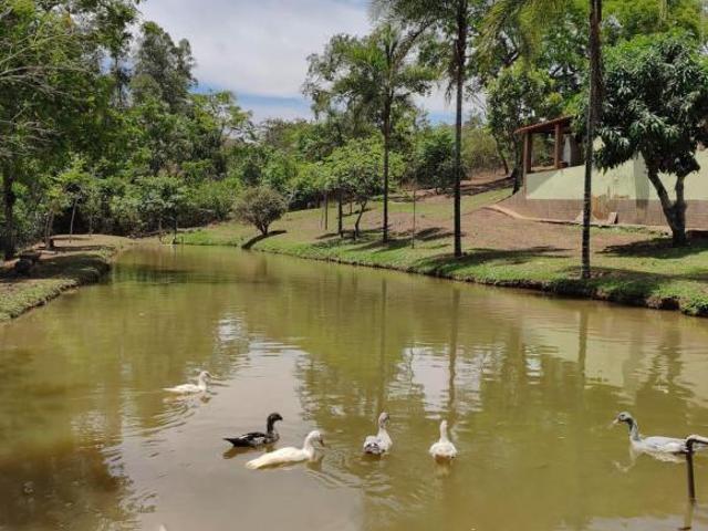 Sítio e chácara venda em Paranoá, Região Geográfica Intermediária do Distrito Federal