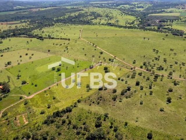 Ponto Comercial venda em Região Geográfica Imediata de Goiânia, Guapó