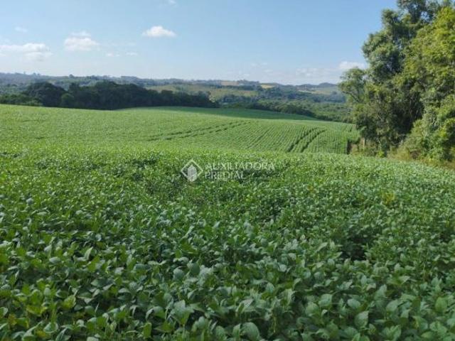 Terreno venda em Região Geográfica Imediata de Curitiba, Região Metropolitana de Curitiba