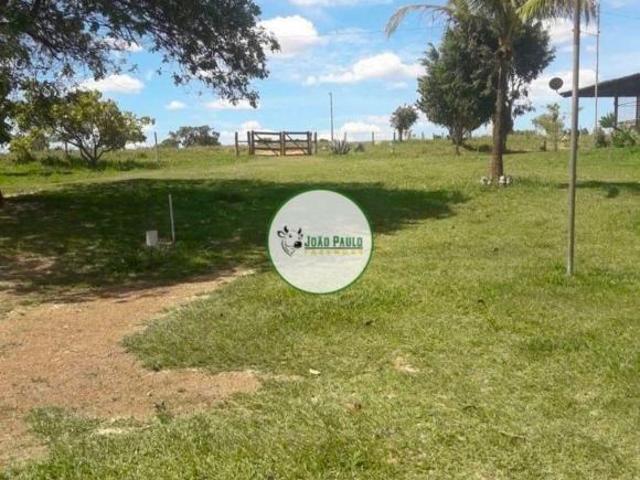 Sítio e chácara venda em Região Geográfica Imediata de Luziânia, Região Integrada de Desenvolvimento do Distrito Federal e Entorno