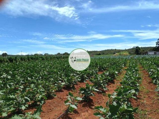 Sítio e chácara venda em Região Geográfica Imediata de Águas Lindas de Goiás, Região Integrada de Desenvolvimento do Distrito Federal e Entorno