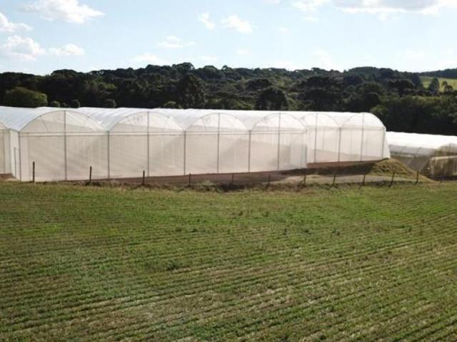 Terreno venda em Região Geográfica Imediata de Curitiba, Região Metropolitana de Curitiba