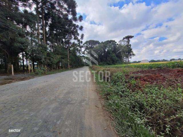 Terreno venda em Região Geográfica Imediata de Curitiba, Região Metropolitana de Curitiba